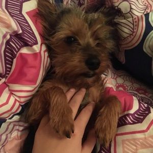 Meet your Posher, Madison